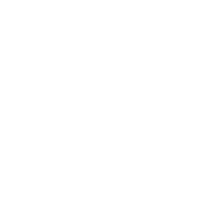 Record News - TV Online